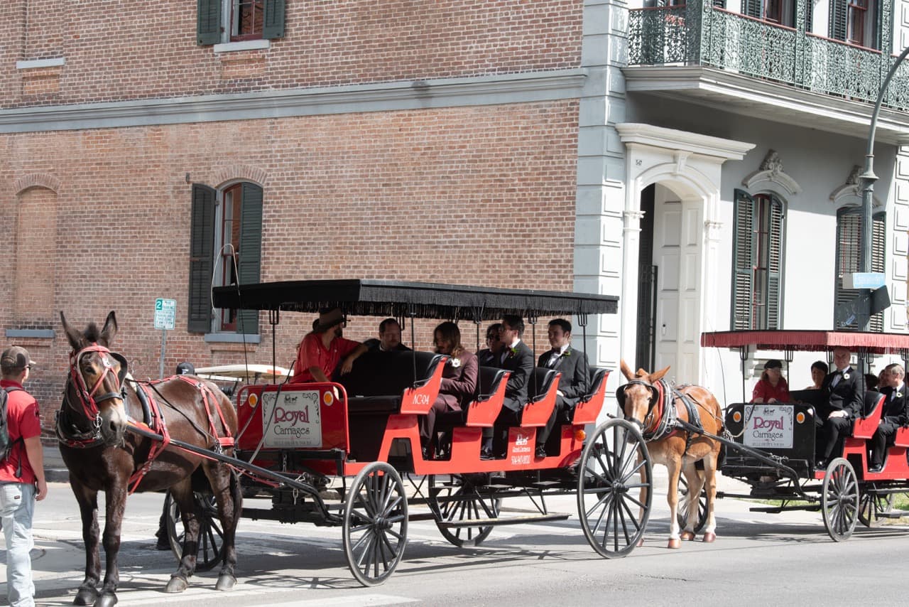 A line of horse-drawn carriages is parked on a city street with passengers inside. A line of horse-drawn carriages is parked on a city street with passengers inside.