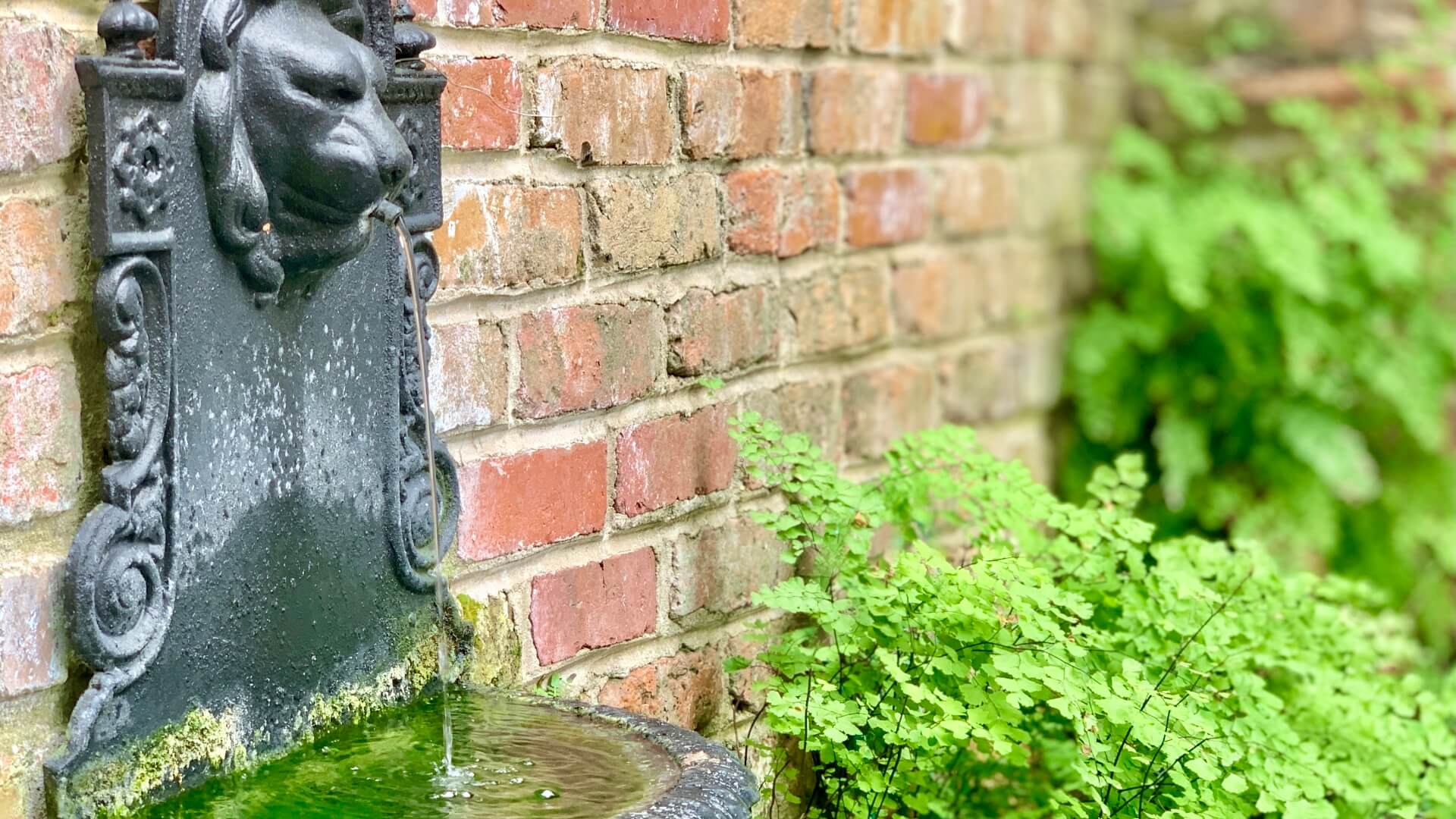 A lion-head fountain trickles water against a brick wall, surrounded by lush greenery.