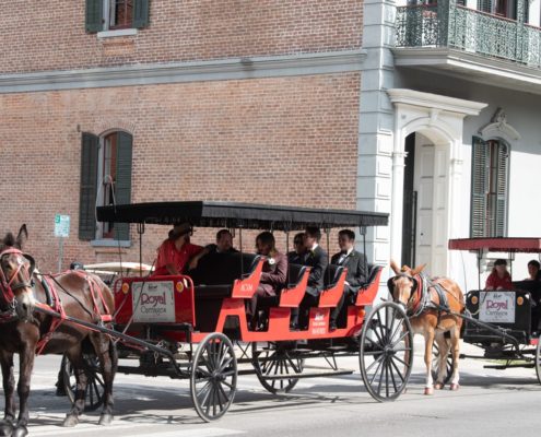 Horse drawn Carriages